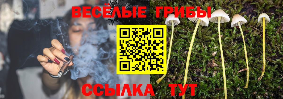 Псилоцибиновые грибы Psilocybe  Псилоцибиновые грибы Cubensis  Вход с VPN  Анапа 
