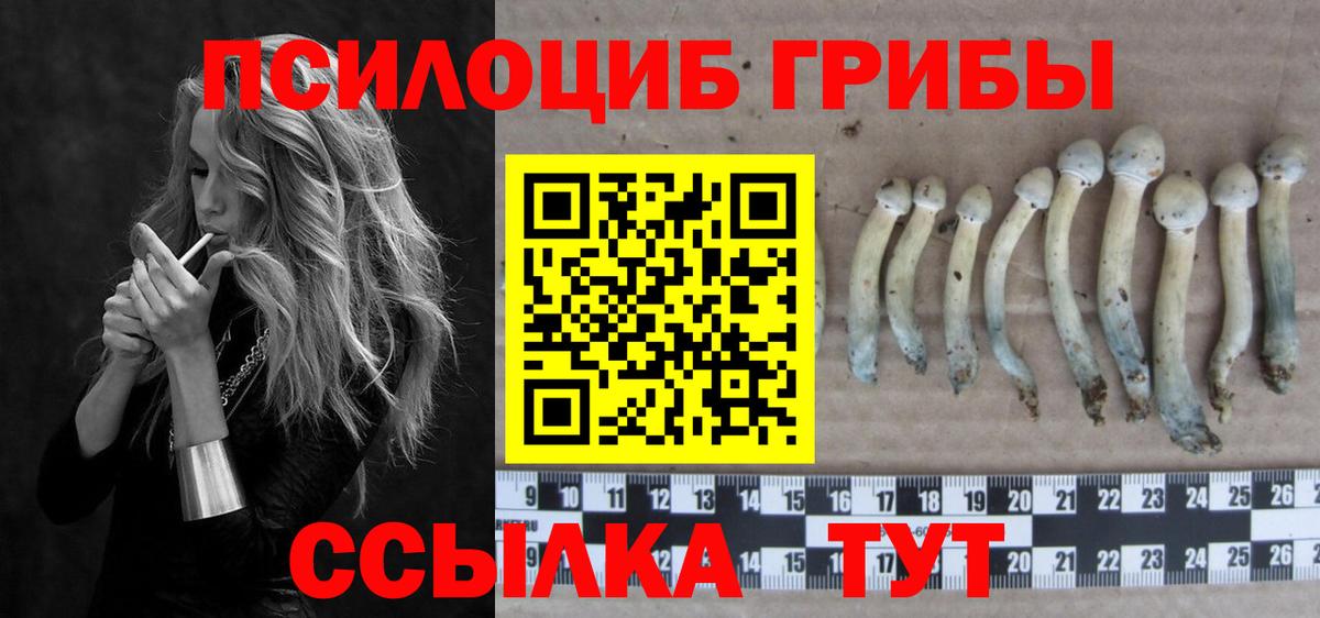 Галлюциногенные грибы MAGIC MUSHROOMS Анапа